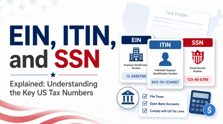 EIN, ITIN, and SSN Explained: Understanding the Key US Tax Numbers